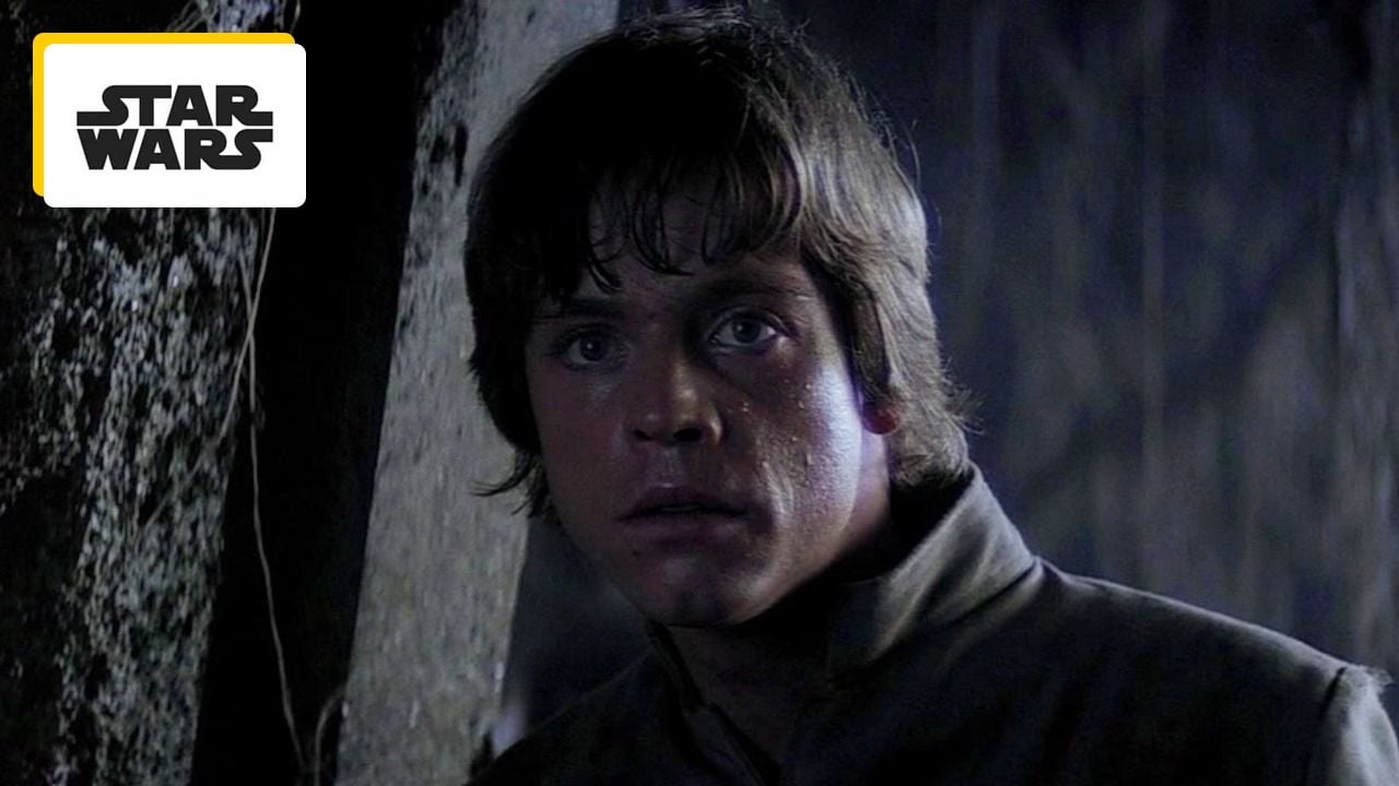 Star Wars: Mark Hamill played Luke Skywalker, but also another character. do you know which one
