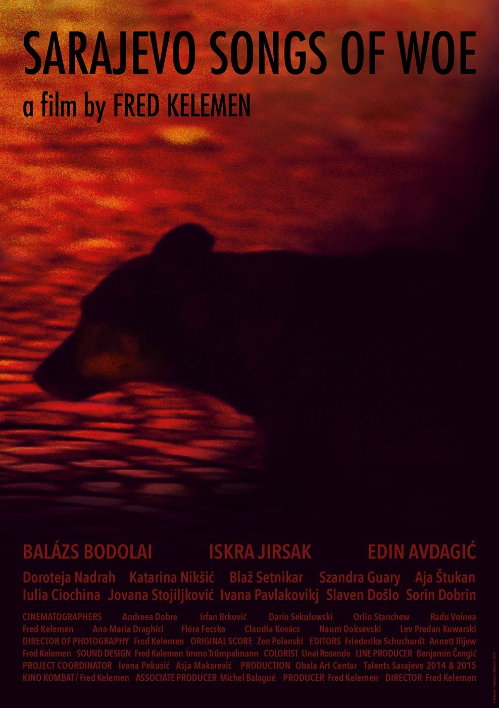 Sarajevo Songs of Woe streaming gratuit
