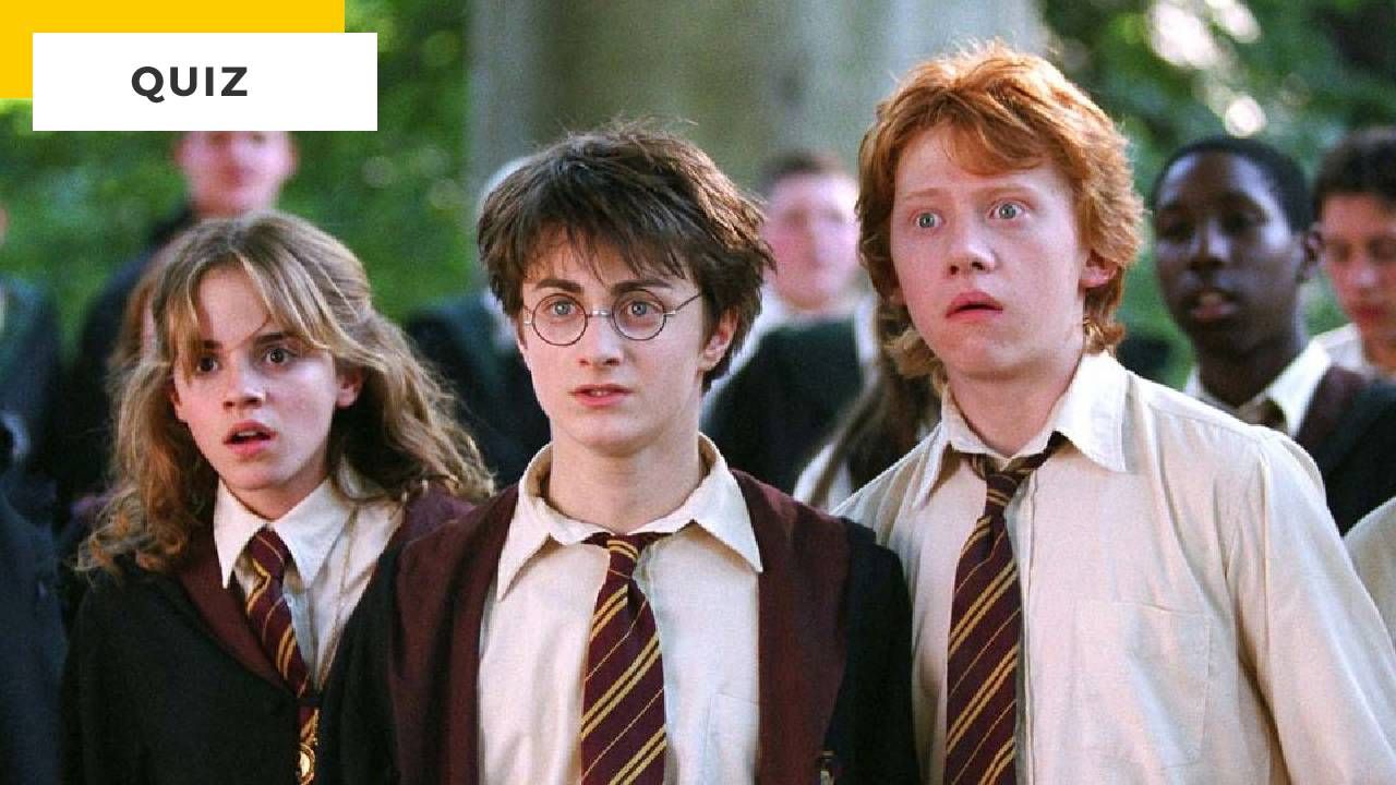 Harry Potter Quiz: Which star of the saga stars in this film?
