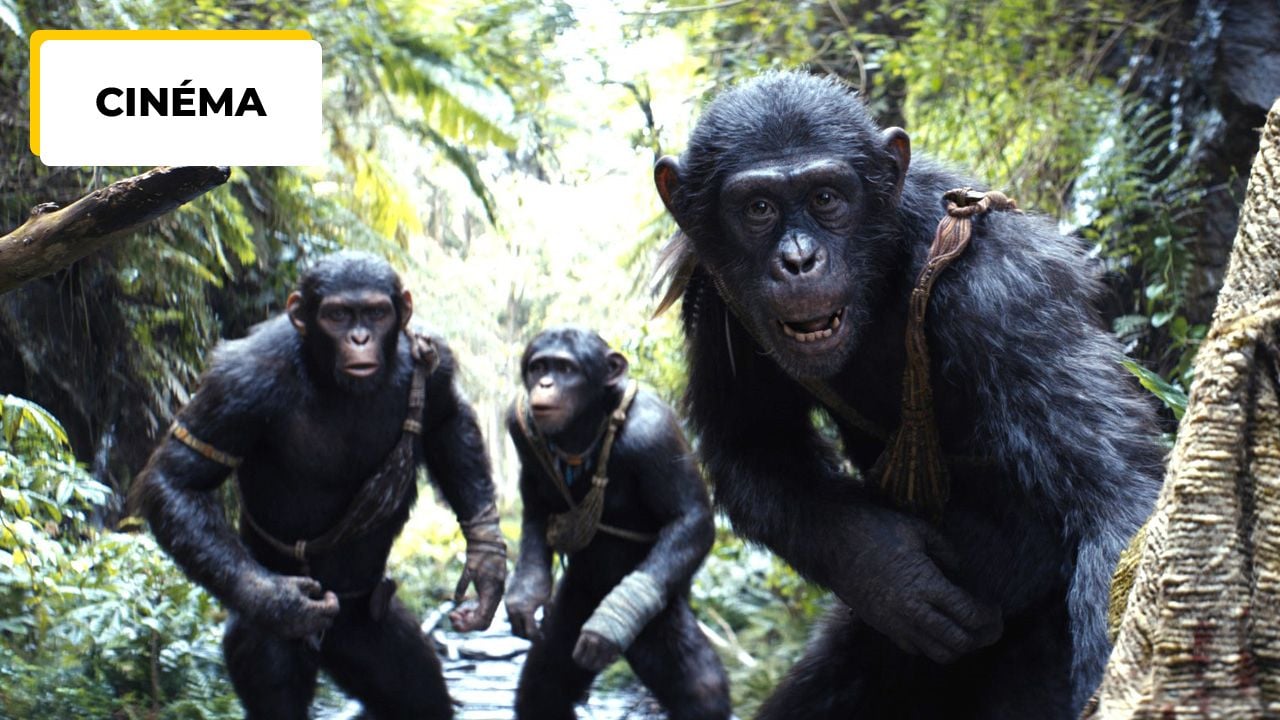 Planet of the Apes 2024: ‘My Thighs Got Huge’… A Real Physical Challenge for the New Kingdom Cast!