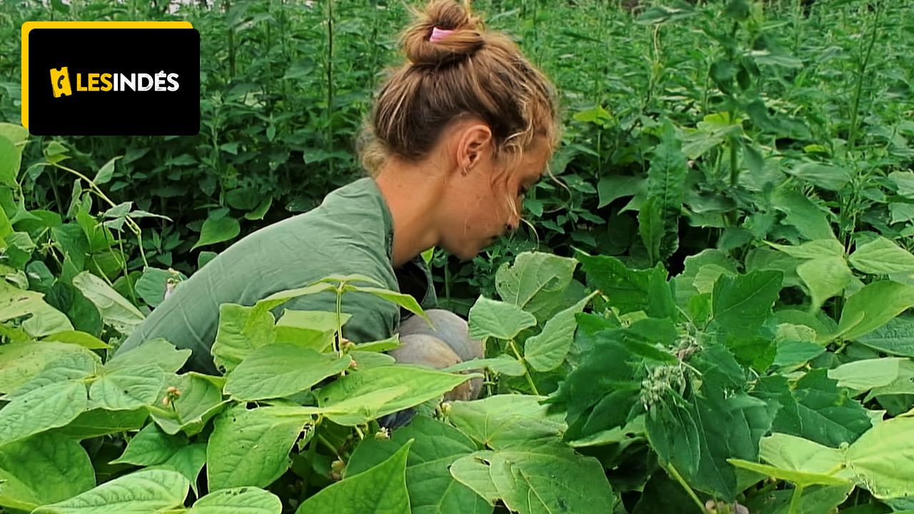 To see in the cinema: A portrait of a woman facing the difficulties of the agricultural world, which inspires admiration!