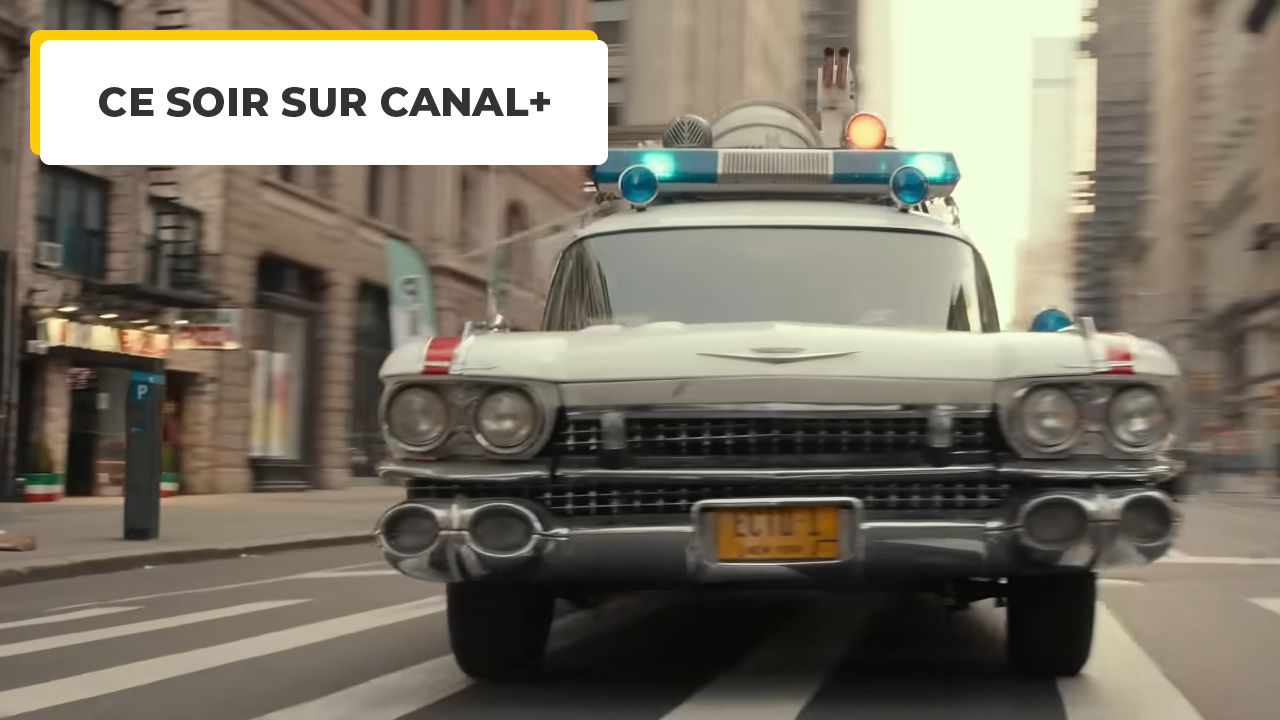 Tonight on Canal+: 40 years later, we can still call the heroes of this famous franchise from the 80s.