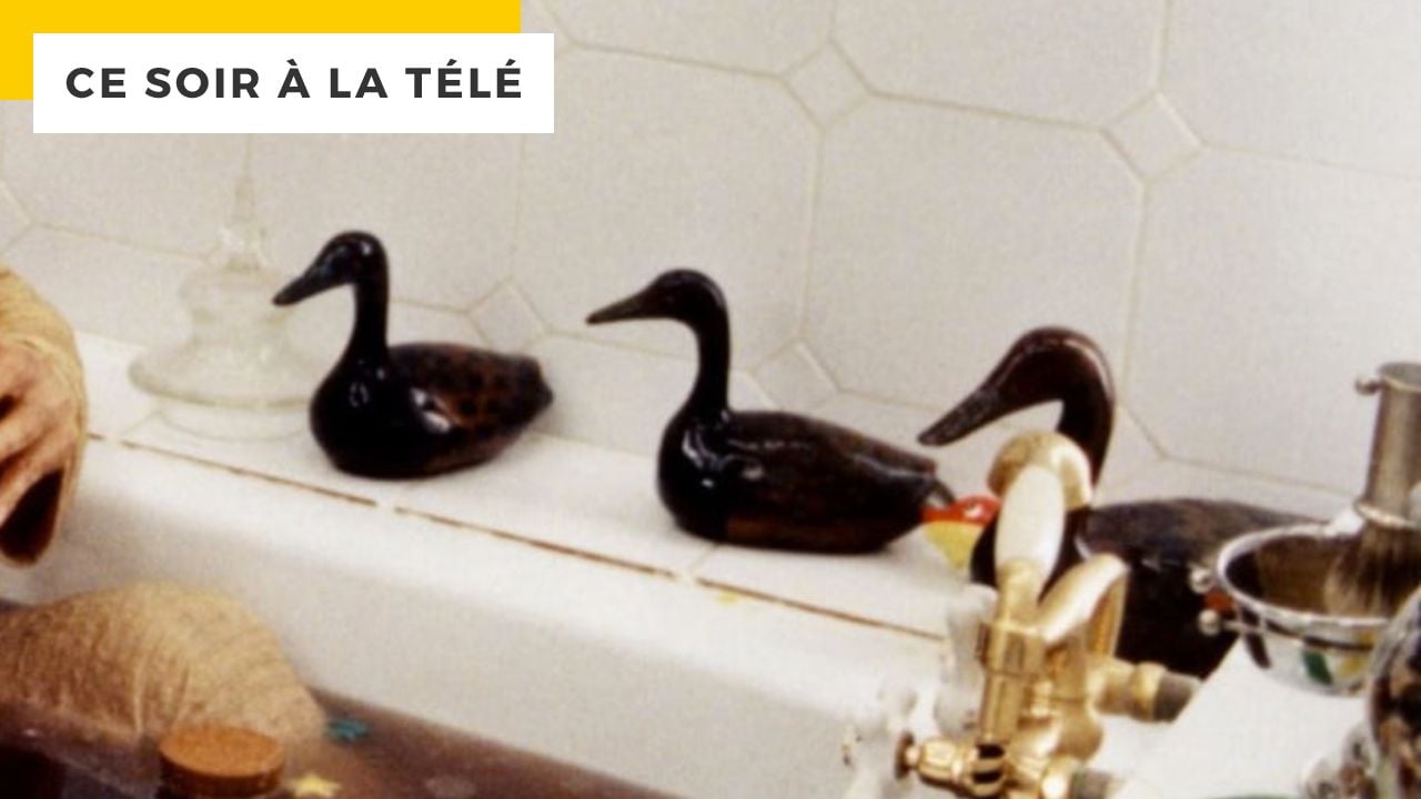 Tonight on TV: With 13 million shows, the comedy is still a cult after 30 years!