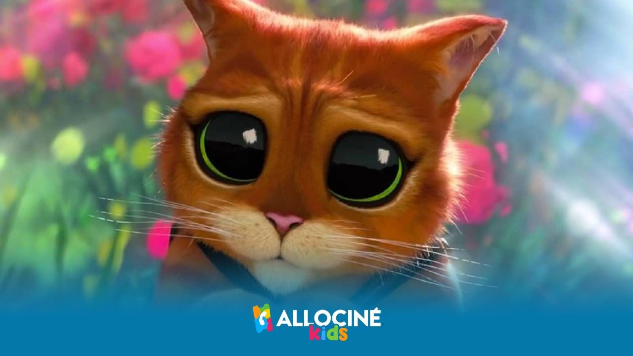 Le Chat Potte 2 Une Aventure Familiale Drole Et Emouvante A Voir Au Cinema A L Approche De Noel Actus Cine Allocine