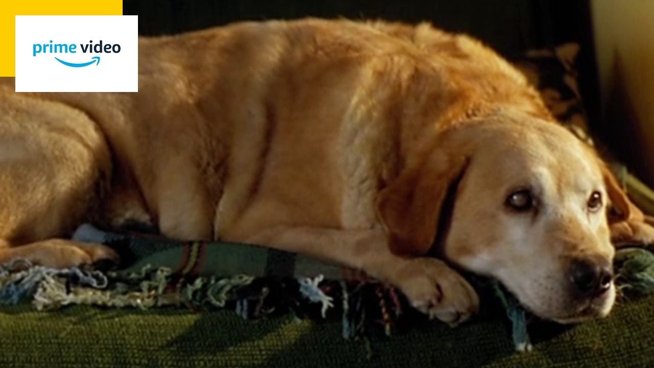 Ce soir sur Amazon lune des comdies franaises les plus cruelles