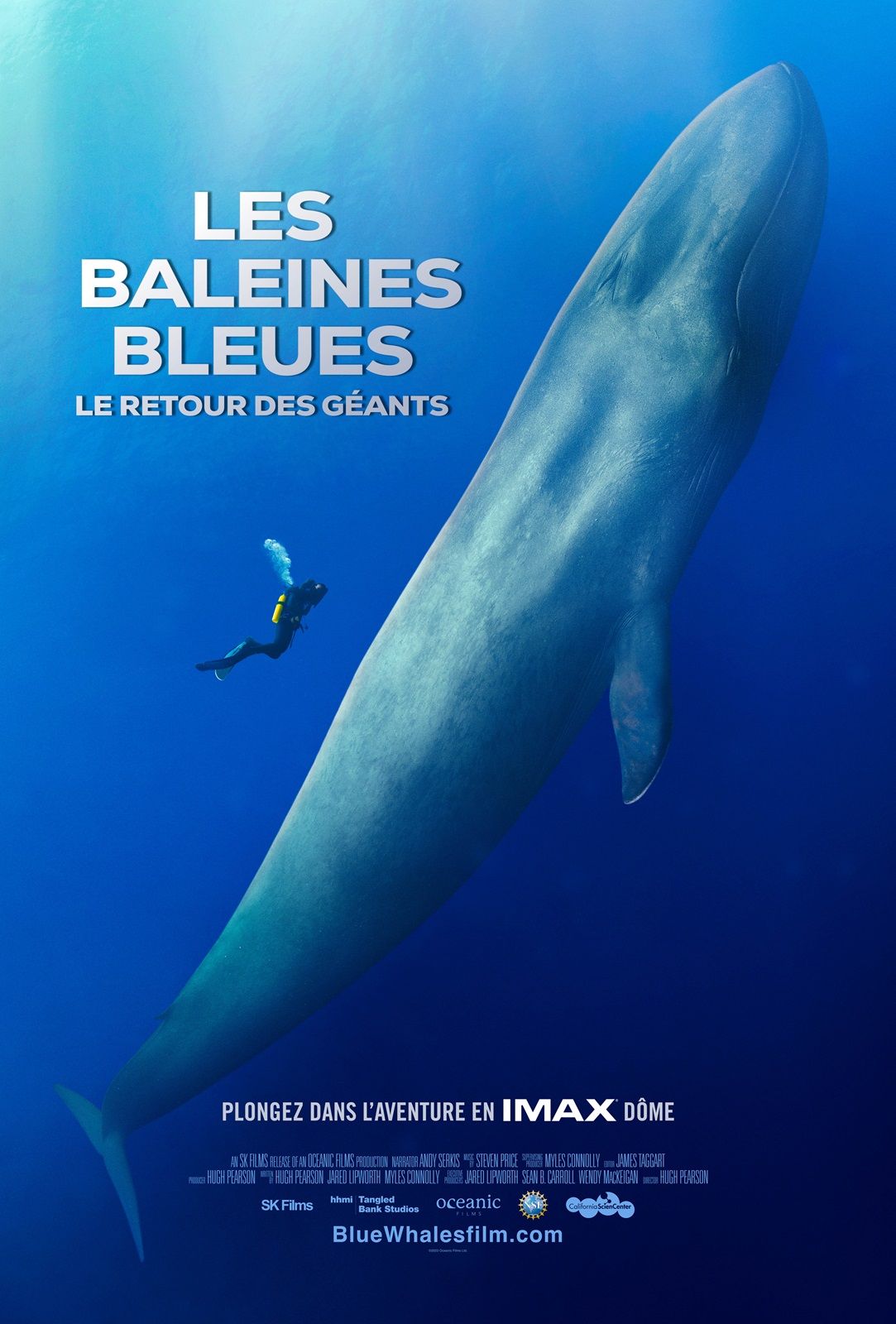 Blue Whales: Return of the Giants