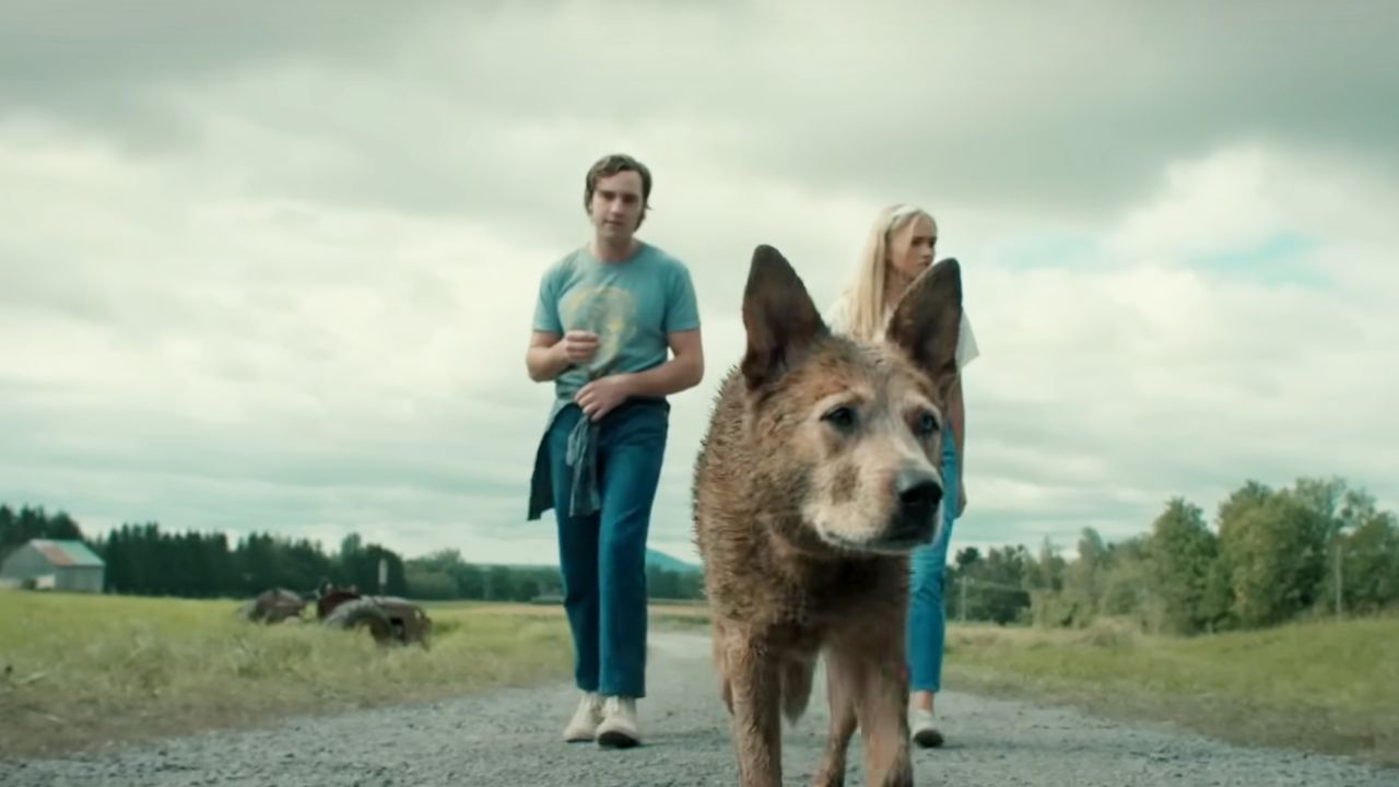 Stephen King: Are there any more Simetier movies planned?