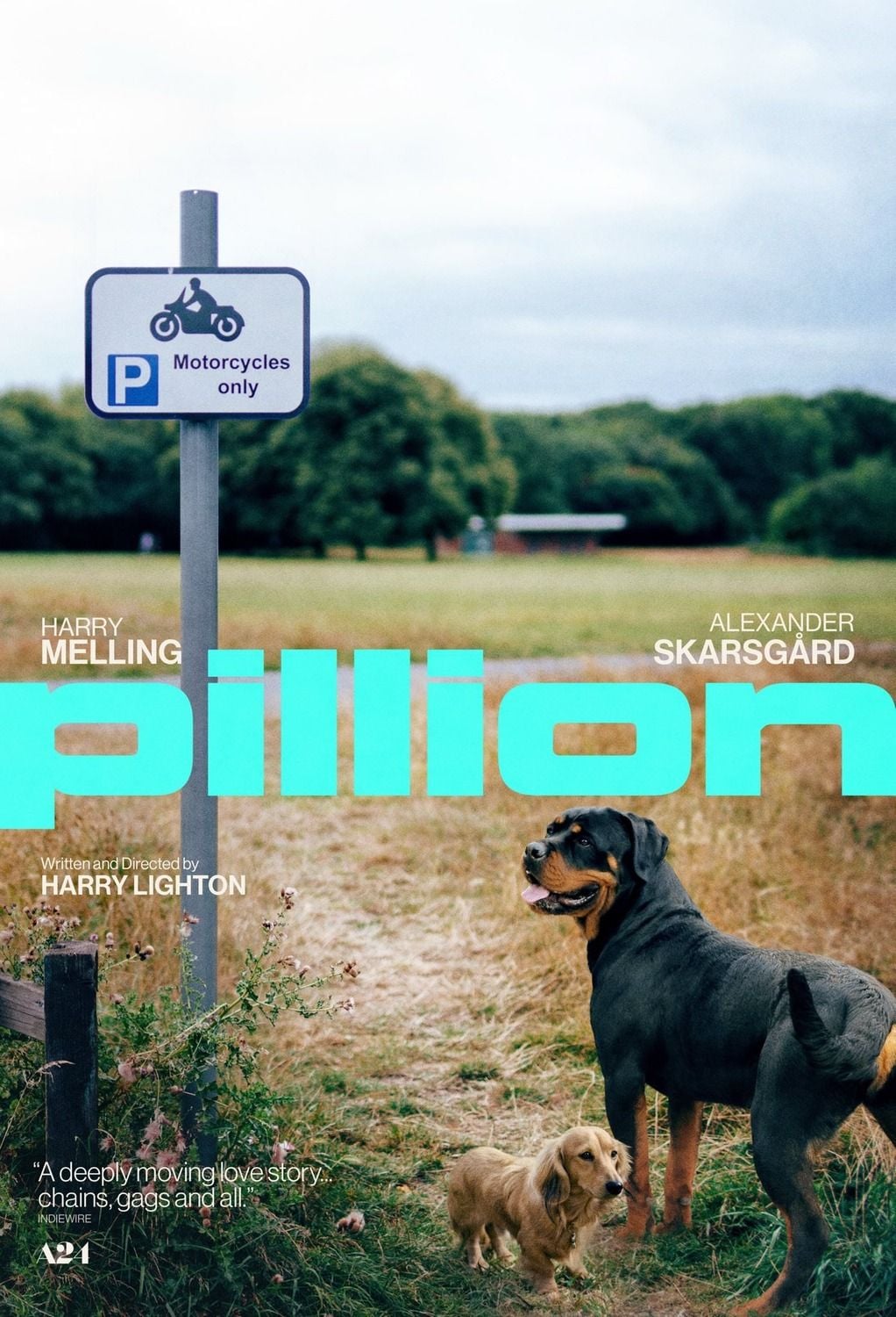 Pillion streaming gratuit