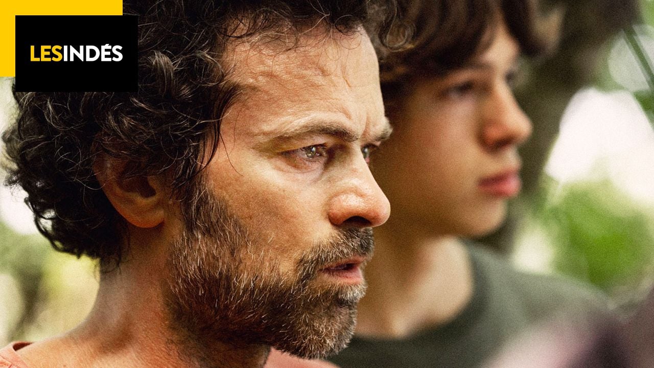 Animal Kingdom: Fire destroys film set with Romain Dury