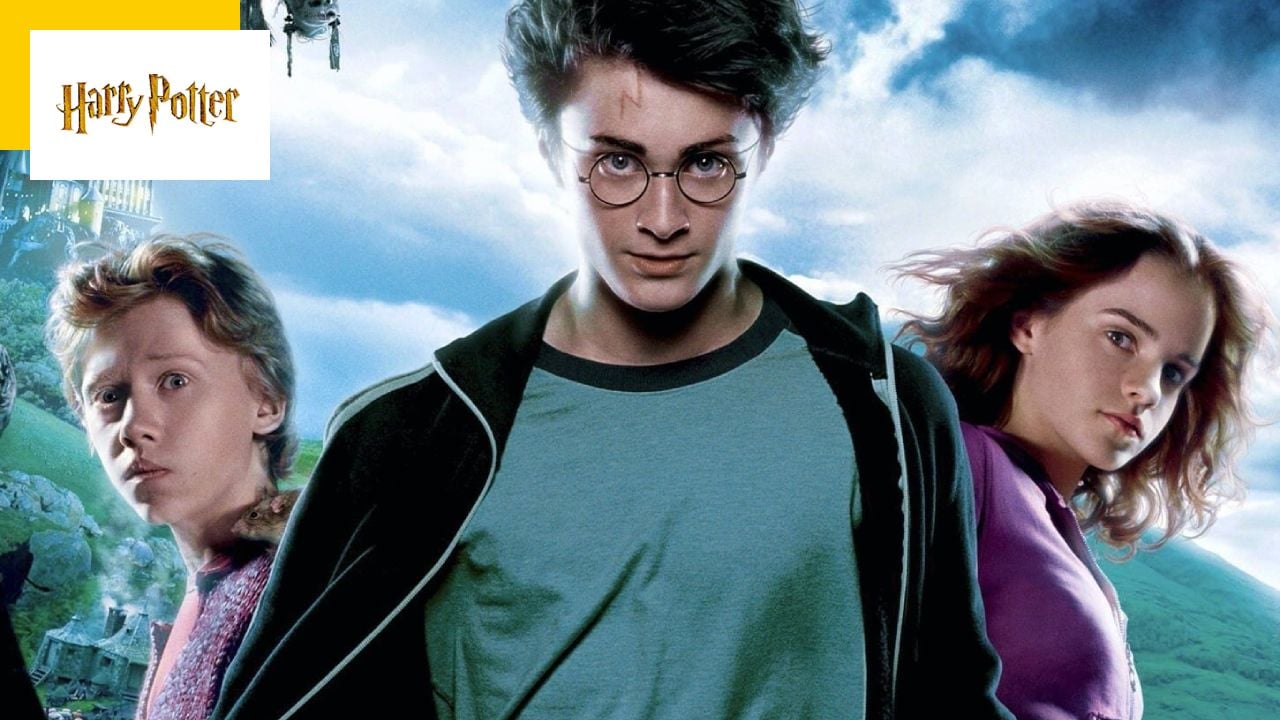 Harry Potter in the series: It’s official and fans have had it for 10 years