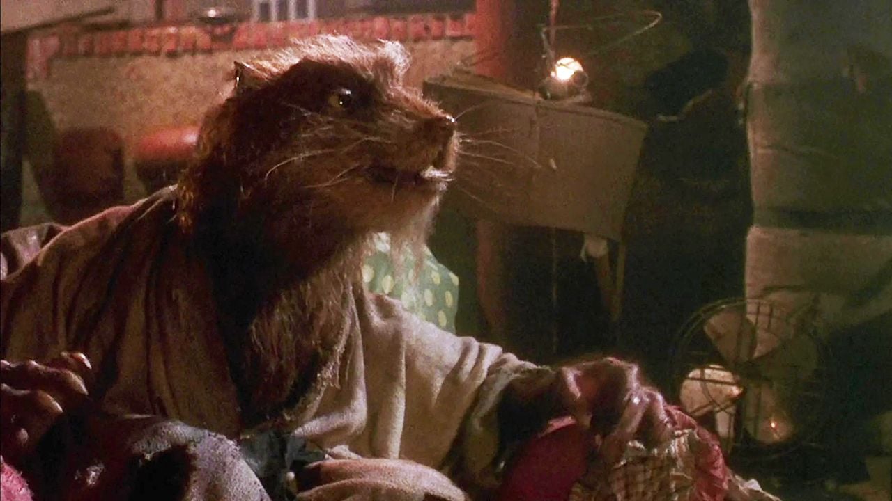 Splinter
