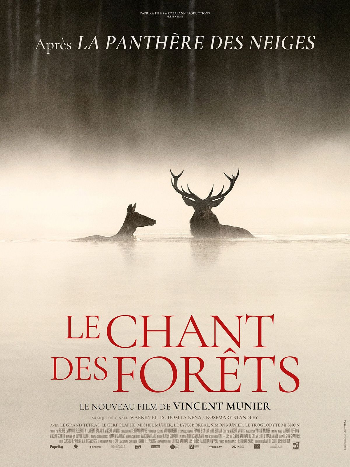 LE CHANT DES FORETS