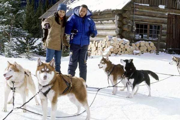 Chien Des Neige Streaming Vf Photo du film Chiens des neiges - Photo 2 sur 7 - AlloCiné