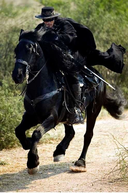 La Légende De Zorro Streaming Vf Photo du film La Légende de Zorro - Photo 8 sur 32 - AlloCiné