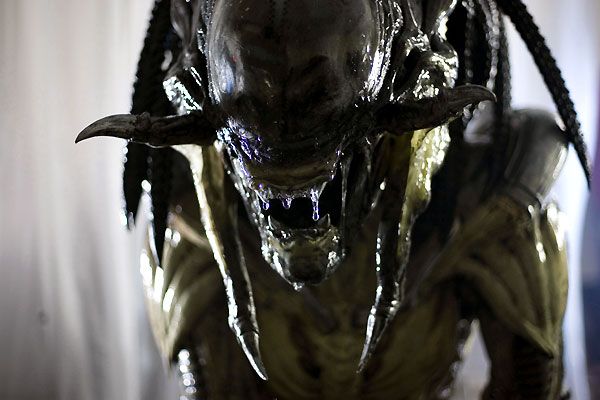 Alien Vs Predator 2 Bande Annonce Vf Photo du film Aliens vs. Predator - Requiem - Photo 13 sur 21 - AlloCiné
