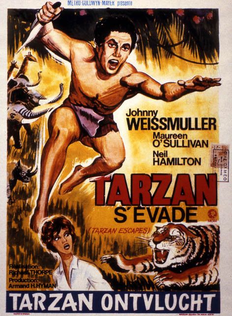 Tarzan s'évade streaming fr