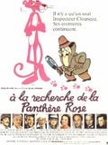 A la recherche de la Panthère rose streaming