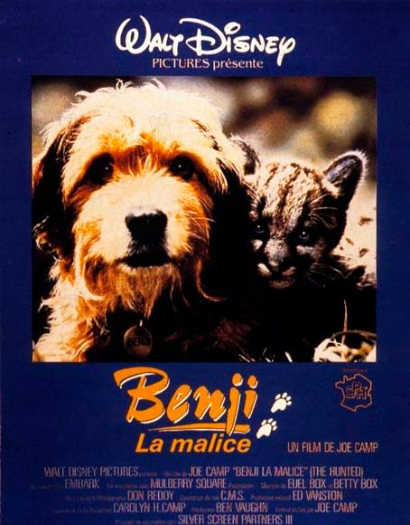 Benji la malice streaming gratuit