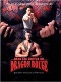 Dans les griffes du dragon rouge streaming gratuit