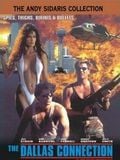 The Dallas Connection streaming vf gratuit
