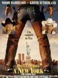 Deux Cowboys à New York streaming gratuit