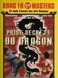 La prise secrète du dragon streaming fr