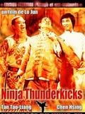 Ninjas Thunderkicks streaming