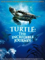 Turtle: The Incredible Journey