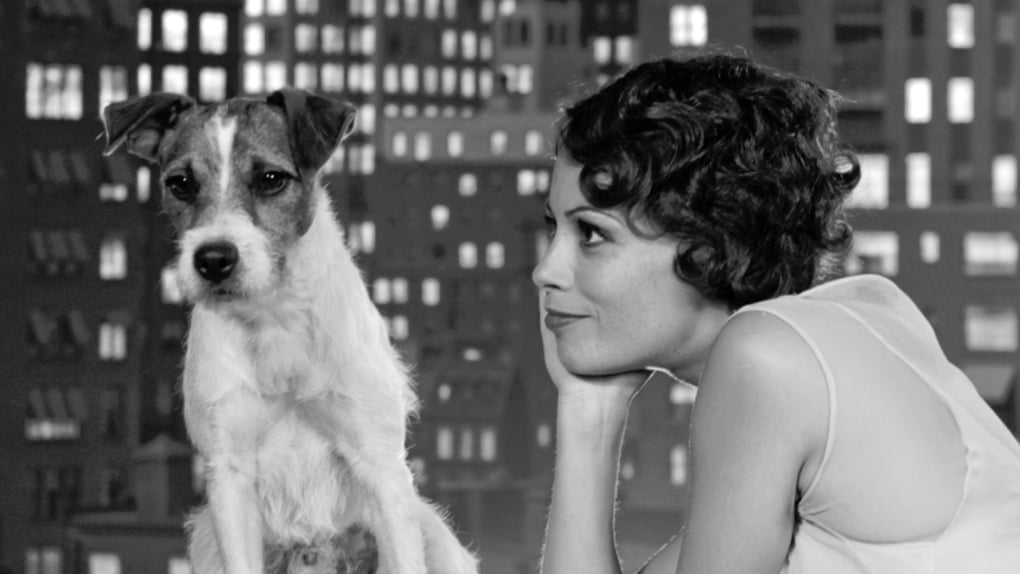 Rintintin Lassieces Animaux Du Cinéma Et Des Séries Allociné 