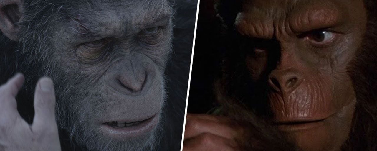 La Planète Des Singes 1968 Cornelius