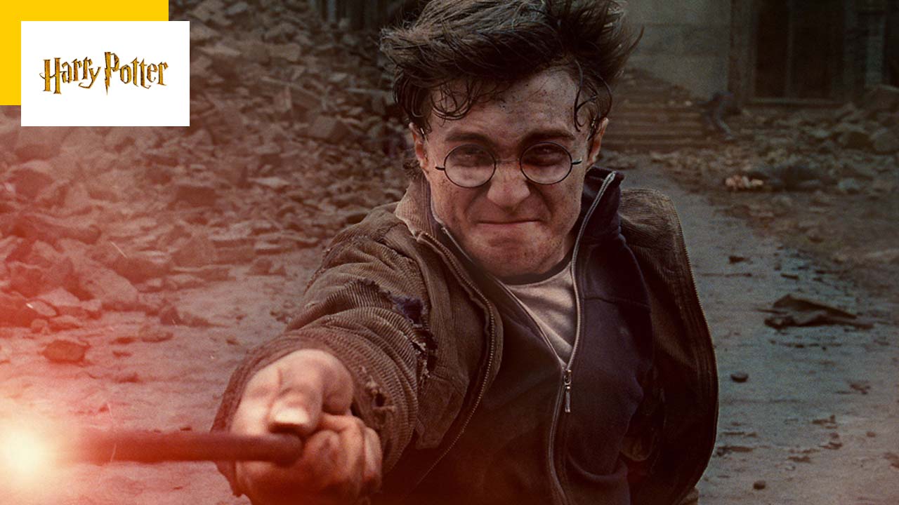 Chris Columbus adorerait tourner de nouveaux Harry Potter avec