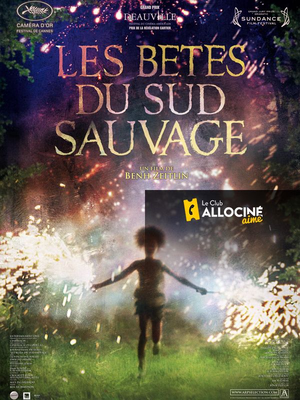 Les Bêtes du sud sauvage streaming fr