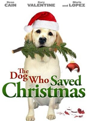 Le sauveur de Noël streaming vf gratuit