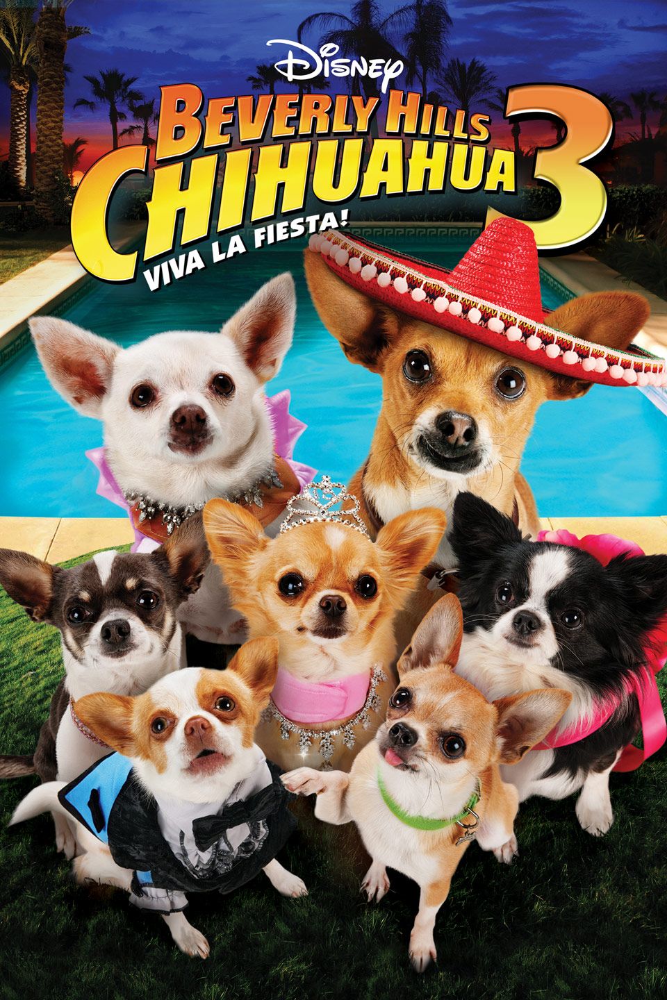 Affiche du film Le Chihuahua de Beverly Hills 3 Viva La Fiesta ! Photo 3 sur 14 AlloCiné Affiche du film Le Chihuahua de Beverly Hills 3 Viva La Fiesta ! Photo 3 sur 14 AlloCiné