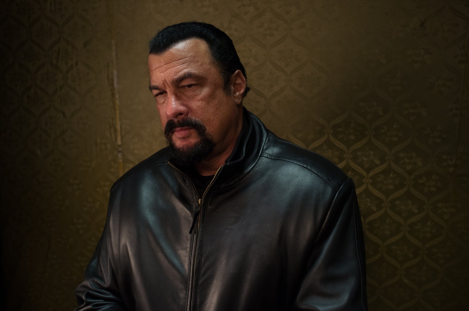 The Way Of The Shadow Wolves by Steven Seagal
