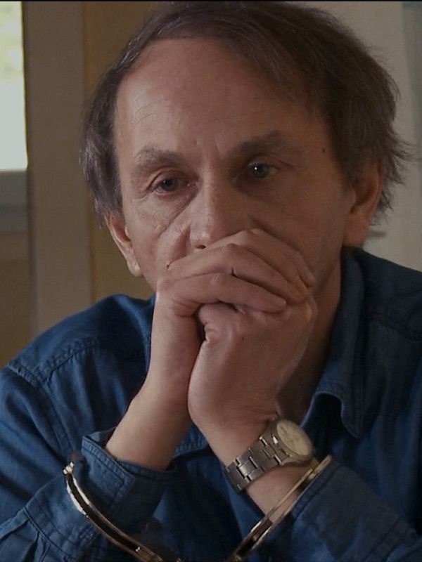L'Enlèvement de Michel Houellebecq streaming fr