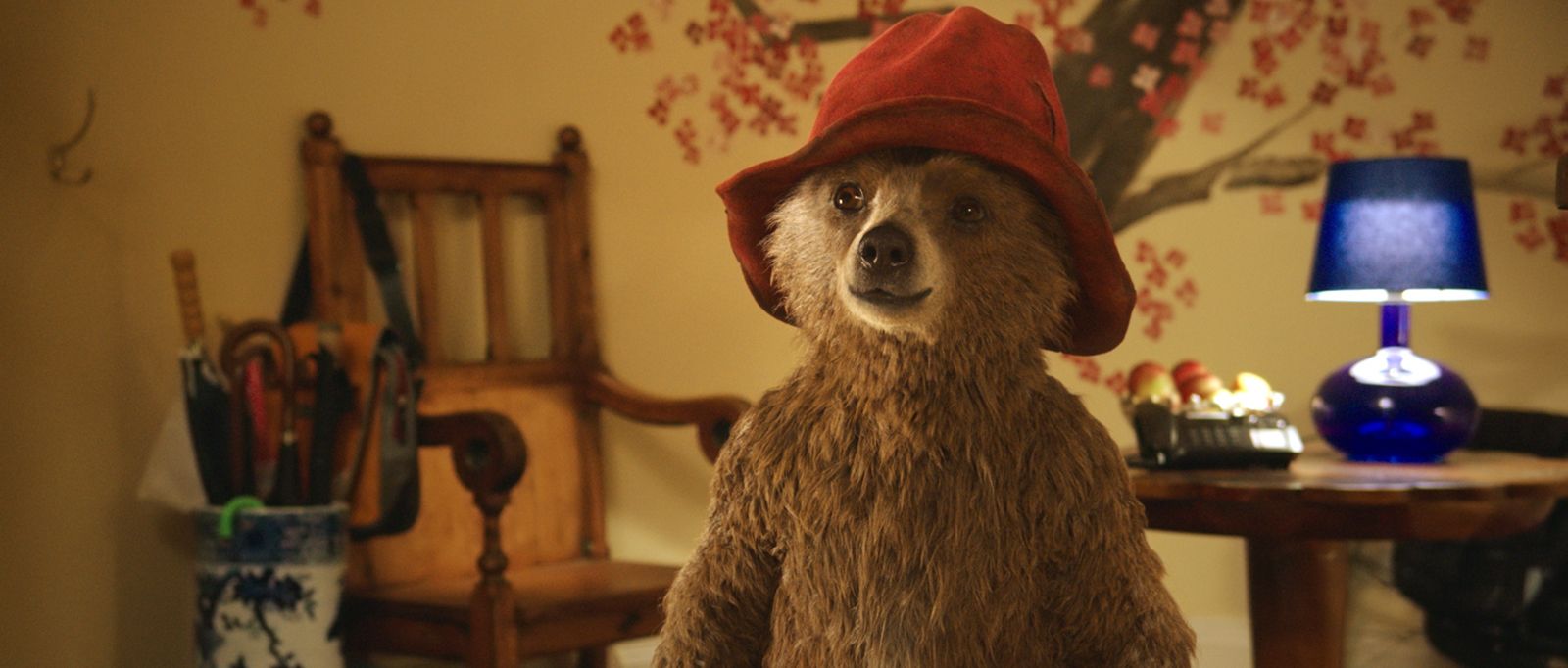 Film Avec Un Ours Qui Parle Photo du film Paddington - Photo 21 sur 44 - AlloCiné