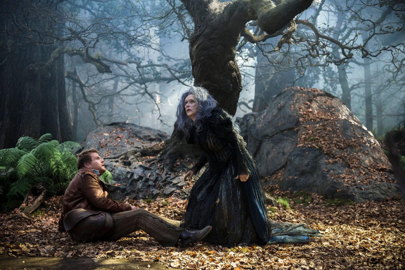 Into The Woods Promenons Nous Dans Les Bois Streaming Photo du film Into the Woods, Promenons-nous dans les bois - Photo 3