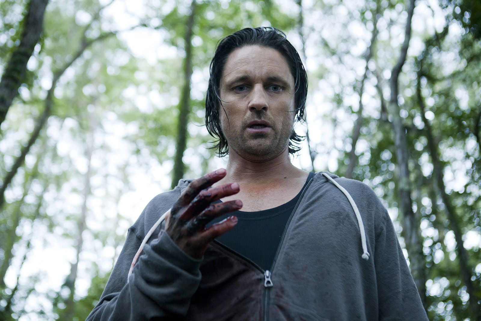 Films Et Séries Tv Avec Martin Henderson Secrets and Lies (AU) : Photo Martin Henderson - 19 sur 47 - AlloCiné