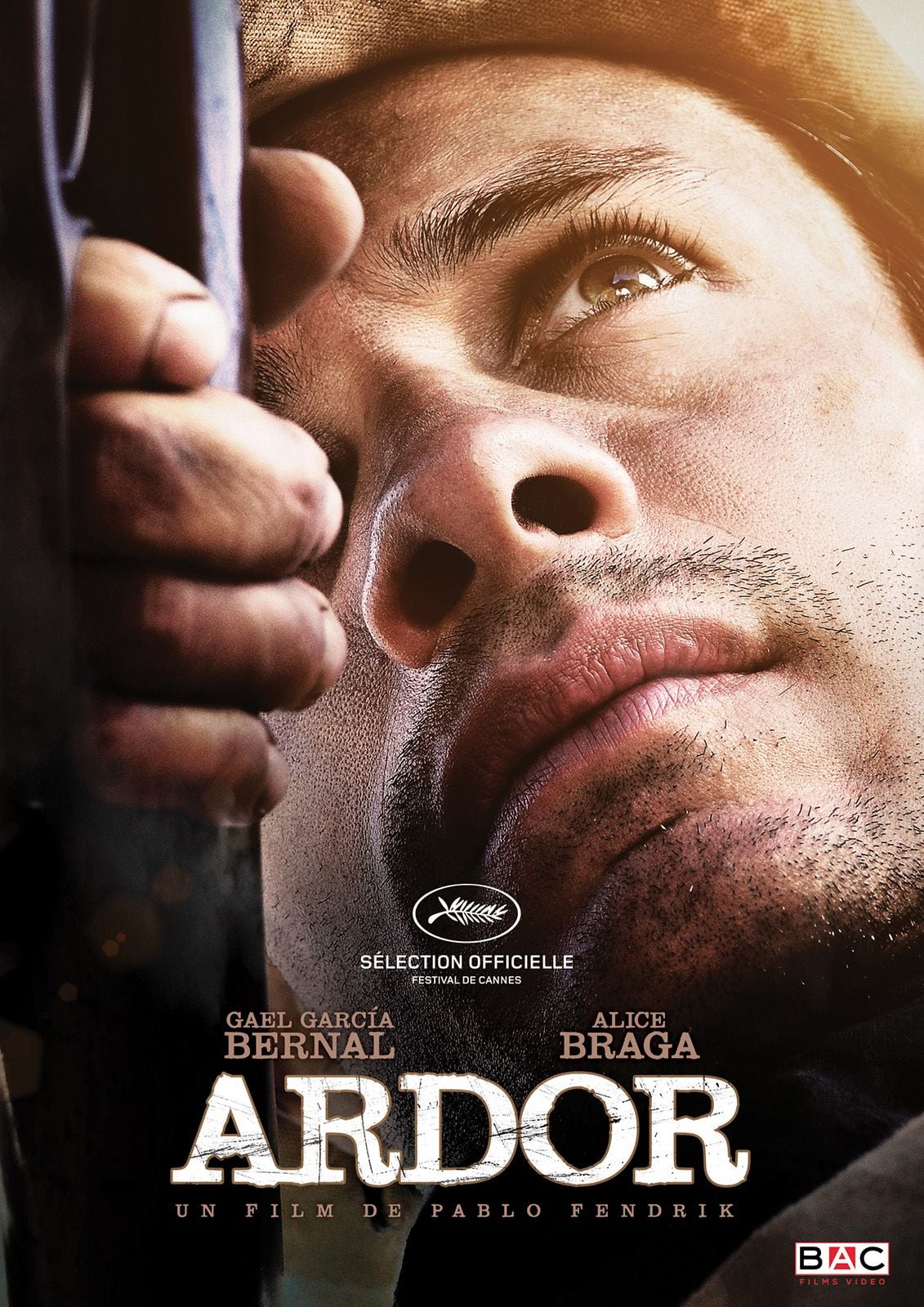 Ardor streaming gratuit