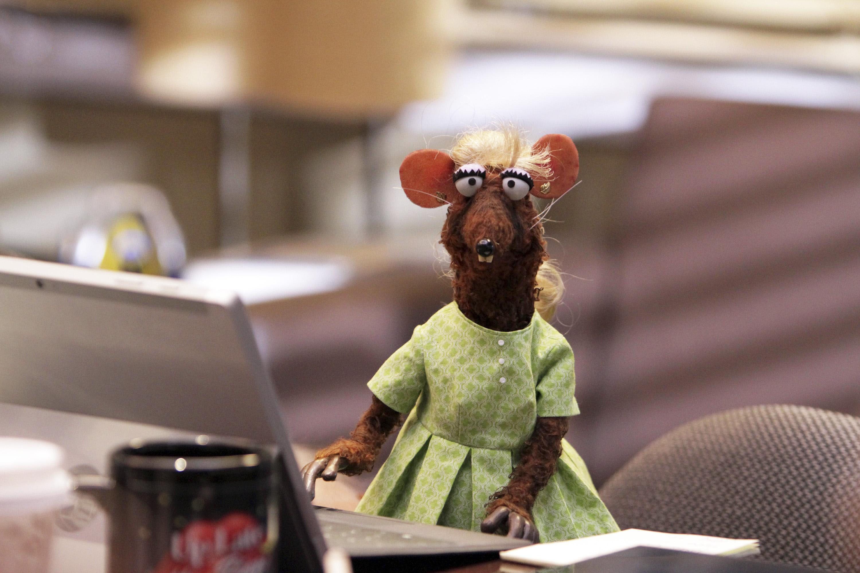 Yolanda rat