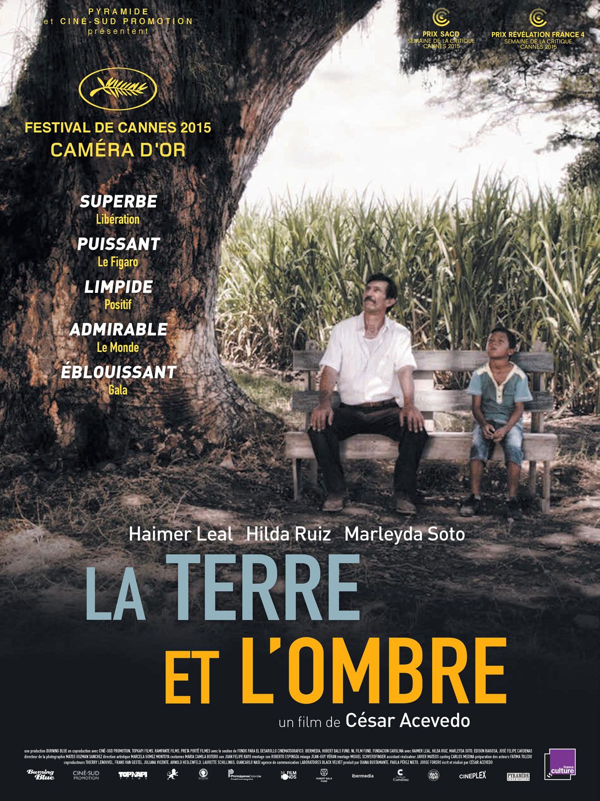 La Terre et l'ombre streaming fr