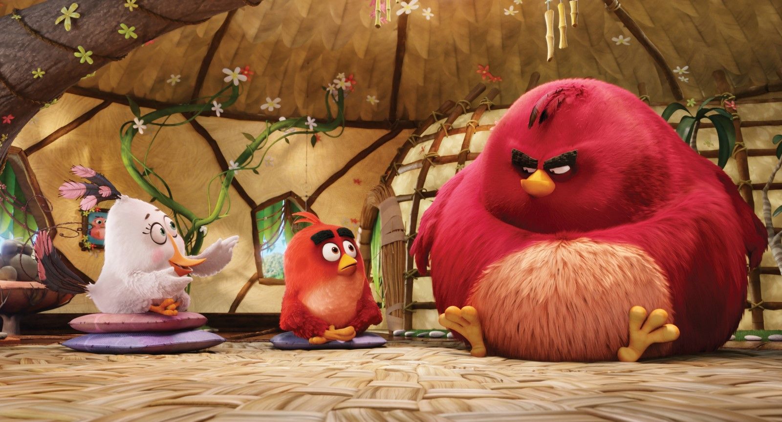 Photo Du Film Angry Birds Le Film Photo 3 Sur 25 AlloCin Photo Du Film Angry Birds Le Film Photo 3 Sur 25 AlloCin