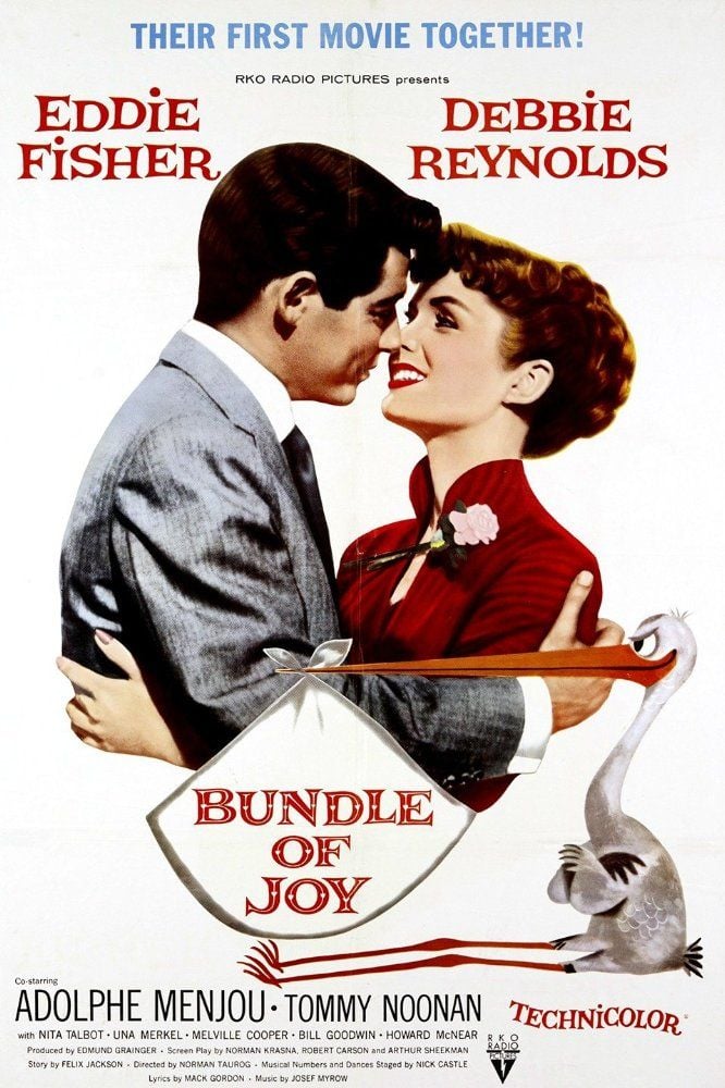 Bundle of Joy streaming vf gratuit