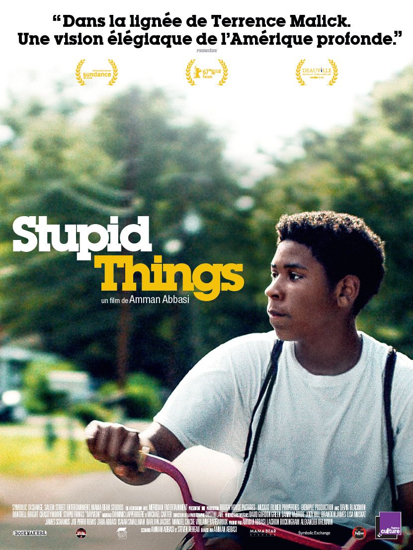 Stupid Things streaming gratuit