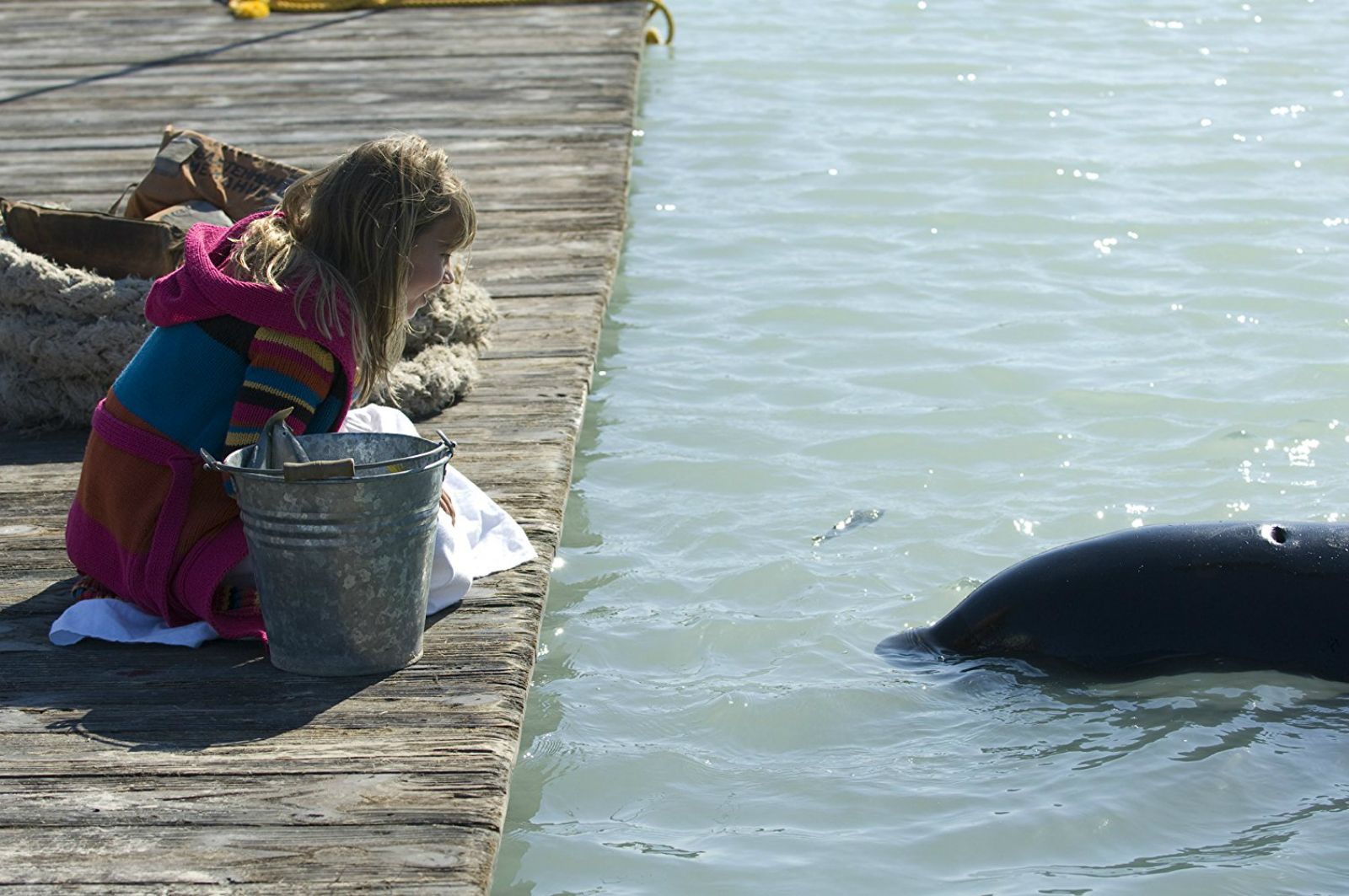 Photo de Sauvez Willy 4 - Le repaire des pirates - Photo 2 sur 8 - AlloCiné