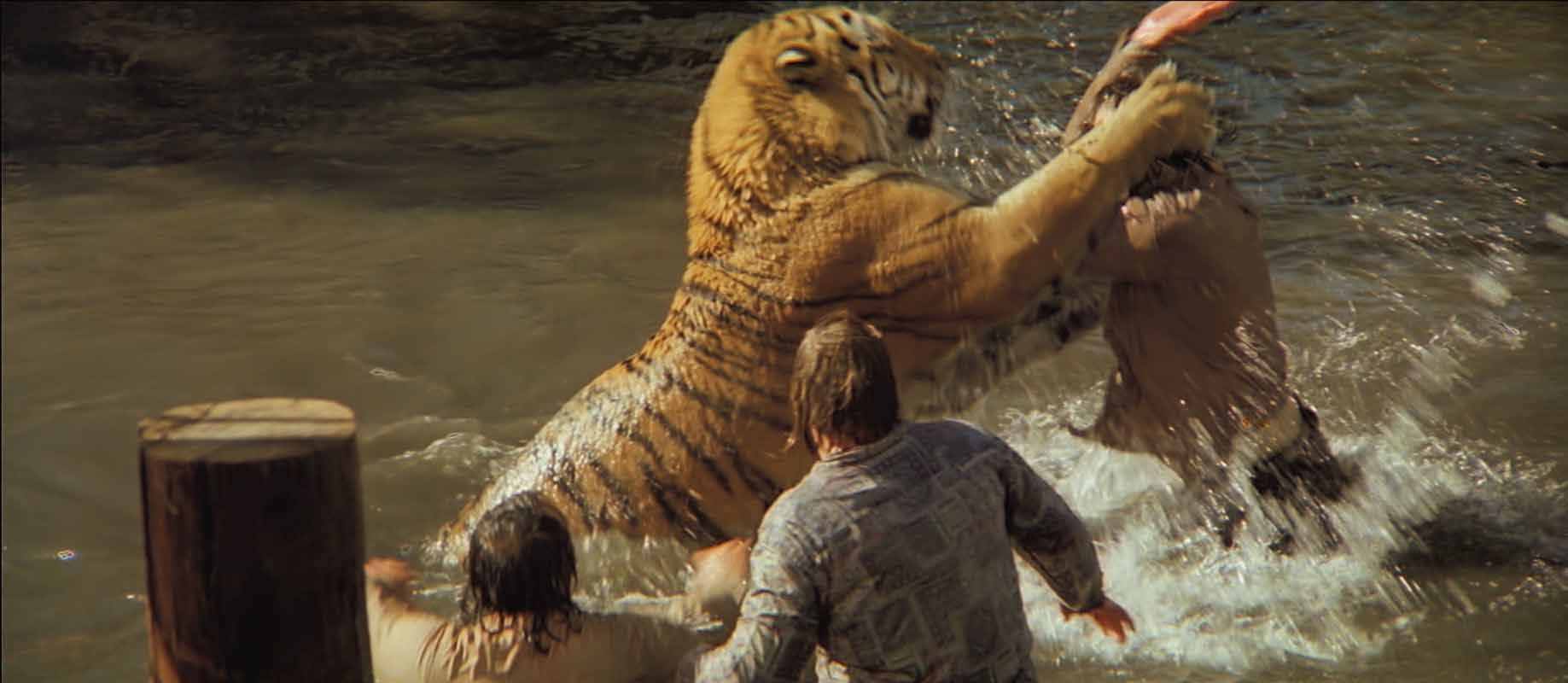 Photo du film Roar Photo 7 sur 16 AlloCiné