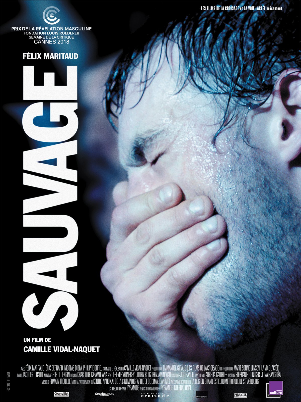 Sauvage en DVD : Sauvage - AlloCin