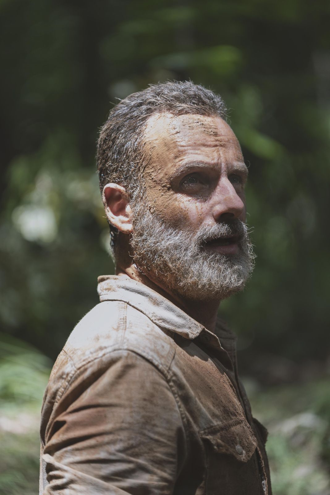 The Walking Dead The Walking Dead Photo Andrew Lincoln 345 sur