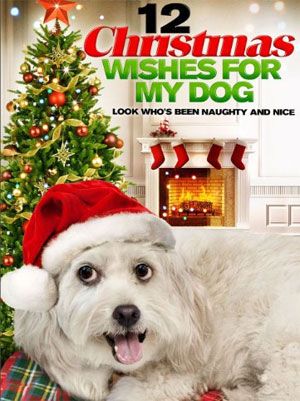 Les Douze vœux de Noël (TV) streaming gratuit